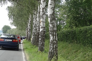 rinteln_21-24-06-2012_12_20120702_1204312706
