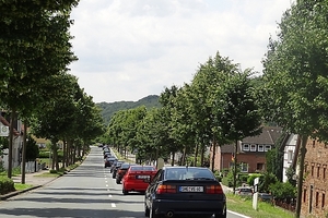 rinteln_21-24-06-2012_19_20120702_1673523482