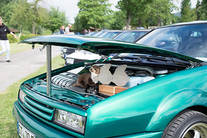 corrado_treffen_rinteln_2014_20140630_1259496354