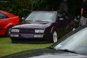 DSC_0234
