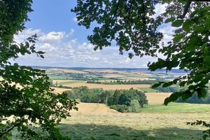 IMG_20240714_125401