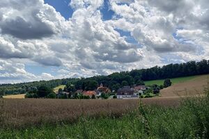 IMG_20240714_131813