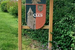 IMG_20240714_133837