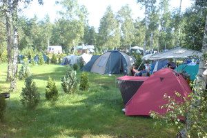 DSC00239